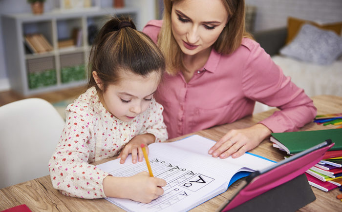 aide aux devoirs garde d'enfant a domicile laguntza etxerat