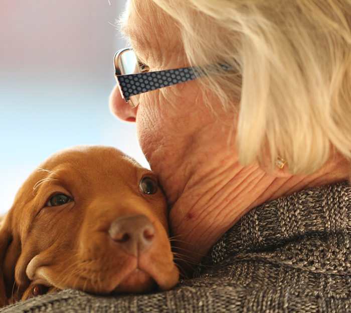 promenade animaux aide-a-domicile seniors laguntza etxerat